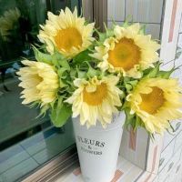 [COD] potted Yunnan base wholesale cream sunflower water flower bouquet real flowers fresh cut rare varieties arrangement