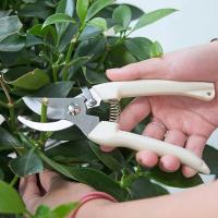 กรรไกรตัดกิ่งไม้ กรรไกรแต่งกิ่ง อุปกรณ์ทำสวน Garden Pruning Shears Scissors Pruner Gardening Tool กรรไกรตัดกิ่งjapan กรรไกรตัดแต่งกิ่ง เครื่องมือทำสวน