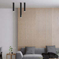 Nordic Light Indoor Lighting Led Ceiling Lamp Long Tube Surface Mounted Spot Light For Living Room Bedroom Corridor Store Coffee