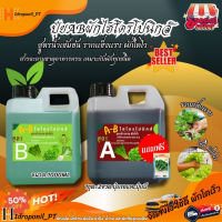 ปุ๋ย AB ไฮโดรโนิกส์ ใหม่ !!! Super GroW-โตเร็ว ขนาด 1 ลิตร 2 แกลลอน A+B (ฟรีเมล็ดผัก1ซอง)