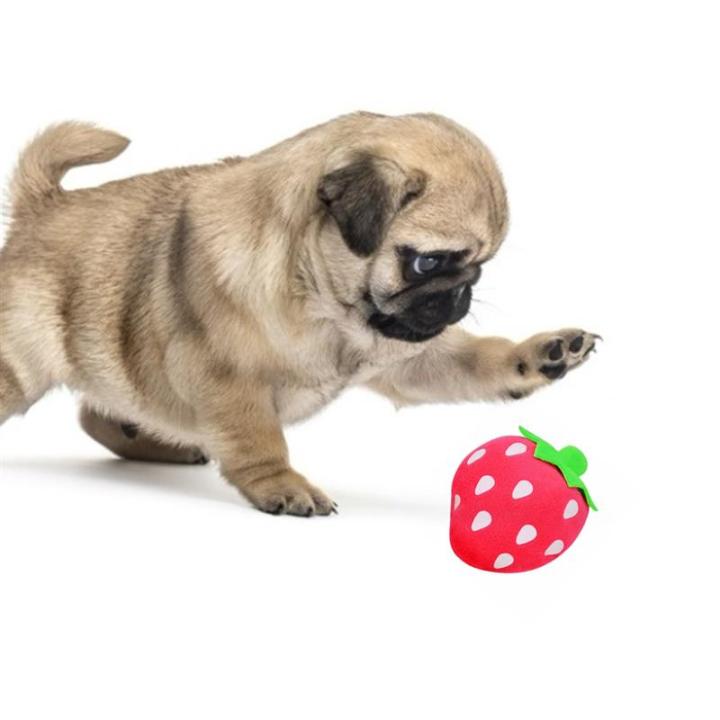 dorakitten-1pc-bite-resistant-dog-toy-creative-strawberry-shape-plush-pet-chew-toy-pet-squeaky-toy-pet-supplies-dog-favors-toys