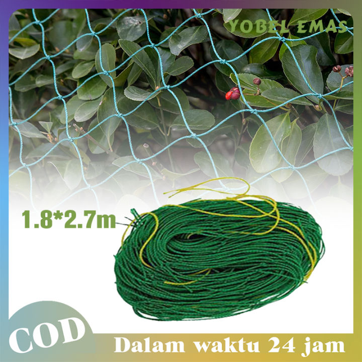 Jaring Tanaman Rambatan Sayuran Jaring Rambatan Tanaman Net Jaring Tanaman Buah Plant Climbing 0547