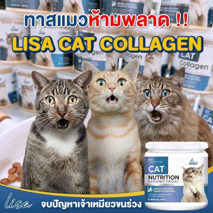 ผงโรยอาหารแมว-lisa-cat-collagen-หยุดขนร่วง-เพิ่มกล้ามเนื้อ-สวนผสมจากผงไข่เต่า-วิตามินบีรวม-ส่งฟรี