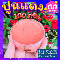 ปูนแดง (Red Lime) ? 100 กรัม ปูนแดงทาแผลต้นไม้ ปูนแดงทาต้นไม้?