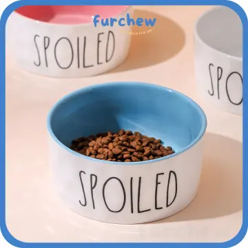 What is the Best Material for Pet Bowls? - Furchild