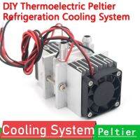 Dykb DIY Thermoelectric Peltier Refrigeration Cooling System + fan+2x TEC1-12706 CAR Electrical Circuitry Parts