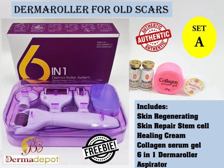 Dermaroller Package for Acne scars burn scars Hyperpigmentation