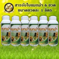 สารจับใบแมกม่า ขนาดขวดละ 1 ลิตร 6 ขวด ช่วยให้ปุ๋ยน้ำ สารฮอร์โมนต่างๆ ทุกชนิด แทรกซึกเข้ากับพืช ได้เร็วภายใน 1-2 นาที