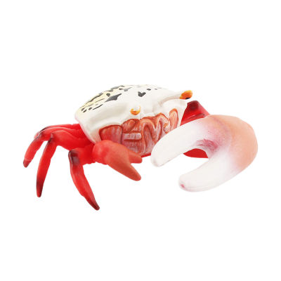 รูปปั้นปูขนาดเล็กปู Sally ปู Sally Crab จำลองตกแต่งแบบจำลองแข็งทึบปูทะเลแบบจำลองพระเยซูปูของเล่นการศึกษาของเด็ก