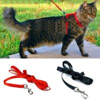 SWEET ELVES Fashion Strap Vest Design Safety Cord Vest Apparel Training Cat Rope Leash Kitten Rope Nylon Harness Adjustable Cat Belt Cat Pet Rope Kitt