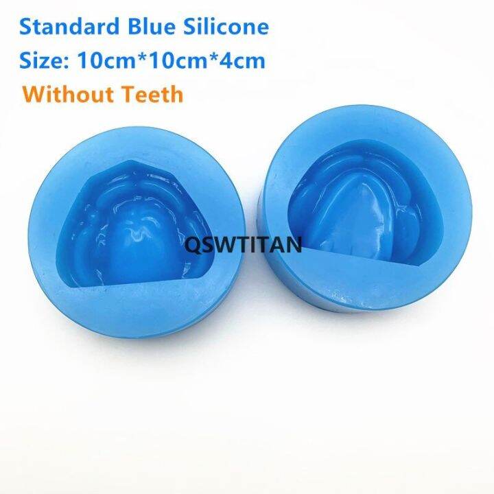Blue No Teeth Dental Plaster Model Silicone Mold Mould Of Edentulous