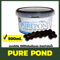 Pure Pond แบคทีเรีย ที่มีชีวิตในเม็ดเจล ช่วยบำบัดน้ำ ระบบกรองน้ำบ่อปลา Nitrifying Bacteria