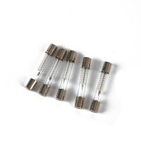 5pcs 5KV Special Microwave Oven Fuse 0.6 0.9A Glass Tube Fuse 700MA