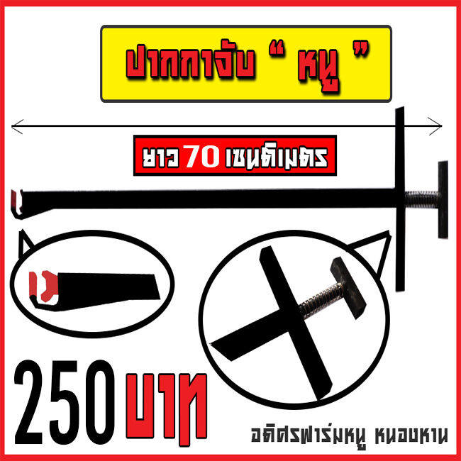 ปากกาคีบหนู-คีมคีบหนู-70-ซ-ม-คนเลี้ยงหนู-การเลี้ยงหนู-อุปกรณ์เลี่ยงหนู-วิธีเลี้ยงหนู-อุปกรณ์ให้น้ำหนู-อุปกรณ์จับหนู-หนูนา-หนูพุก