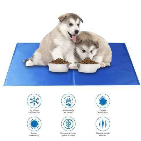 พร้อมส่ง-pet-cool-mat-ที่นอนเจลเย็นสำหรับสัตว์เลี้ยง-แผ่นเจลเย็น-แผ่นระบายความร้อน