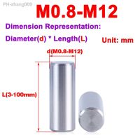 304 Stainless Steel Solid Cylindrical Pin / Locating Pin / Fixing Pin M0.8-M4