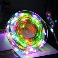 WS2812B USB LED String Christmas Lights For Bedroom RGB Led Light Bluetooth Music Full Color Addressable Individually 5V