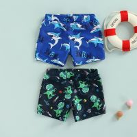 Zoiuytrg Boy Swimwear Trunks  Children Elastic Waist Shark Dinosaur Pattern Printed Beach Wear Shorts Briefs