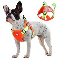 Dog Harness Leash Set Small Dog Cat Outdoor Breathable Safety Vest With Reflective Adjustable Pet Walking Training Supplies