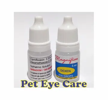 Dexamethasone eye drops outlet for dogs