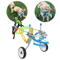 Pet Wheelchair อลูมิเนียมอัลลอยด์ปรับได้ Pet Dog Wheelchair สำหรับการฟื้นฟูสมรรถภาพขาหลัง