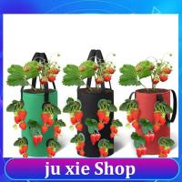 JuXie store 3 Gal 12 Holes Strawberry Grow Pot Bags Plants Flower Tomato Growing Garden Wall Hanging Vegetable Root Planting Her