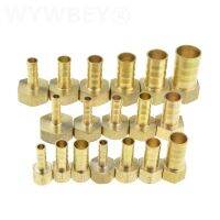 Brass Hose Fitting 4mm 6mm 8mm 10mm 19mm Barb Tail 1/8 quot; 1/4 quot; 1/2 quot; 3/8 quot; BSP Female Thread Copper Connector Joint Coupler Adapter