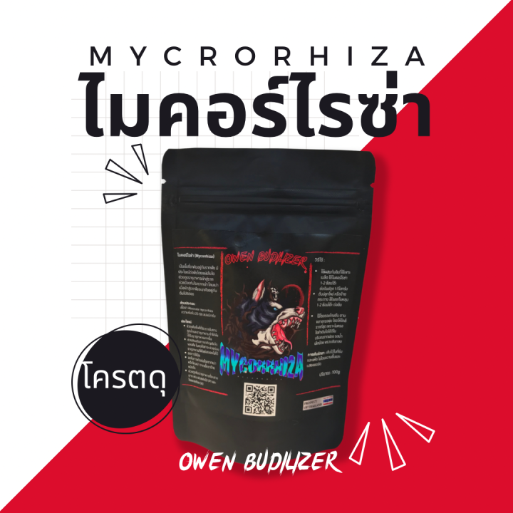 ไมคอร์ไรซ่า-เพิ่มราก-ปลูกกัญ-mycorrhiza-เร่งราก-ดินดี-กัญ-น้ำ-ช่วยรากดูดซึม-ราอาร์บัสคูลาร์-เร่งโต-ปุ๋ย-100-กรัม-กระท่อม-ไม้ผล-ไม้ดอกทุเรียน