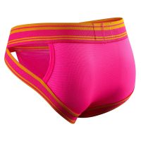 Sexy Men Underpants Briefs Shorts Breathable Innerwear Man Underwear Briefs Cuecas Slips Mens Jockstrap Panties Nylon Mesh