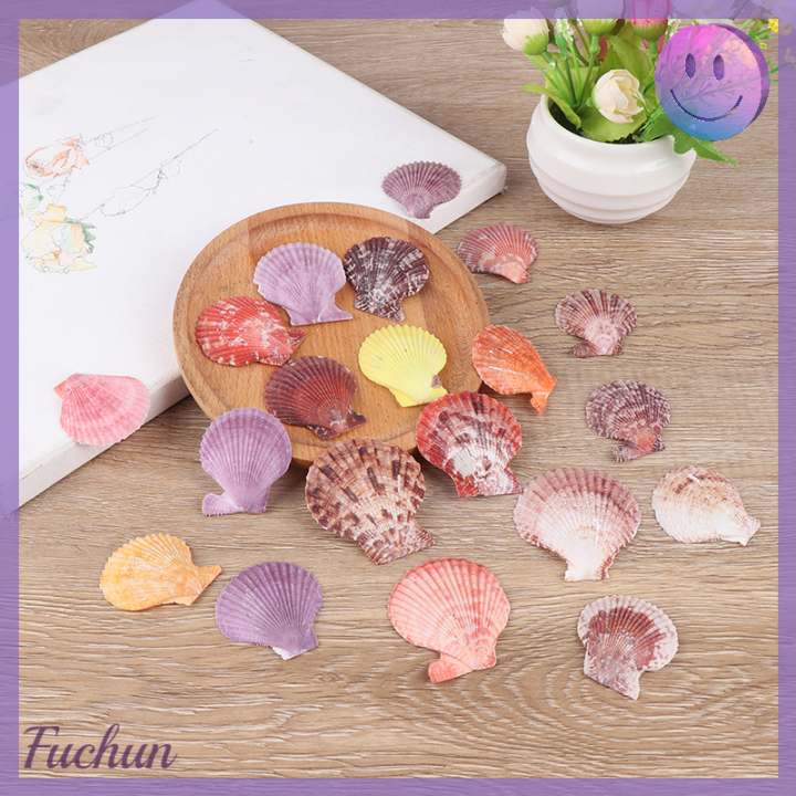 fuchun-เครื่องประดับตกแต่งเปลือกหอยธรรมชาติสีสันสดใสจำนวน20ชิ้น-ของประดับตกแต่งงานฝีมือต่างหูรูปหอยเชลล์