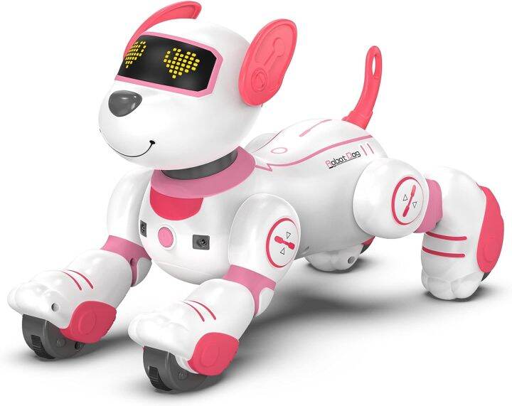 robot control dog