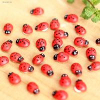 ✹♨ Cute Miniature Wooden Craft Garden Red Mix Color Artificial Micro Landscape Ladybug Buttons Fridge Scrapbooking DIY Kids Deco