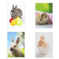 [Hagoya Stationery Stor] Animal Rabbit Notebook Kawai Bunny Pet Cute Planner Hare Plants Cover Decor Journal Supplies Diary 오징어 게임 Cuaderno De Viaje