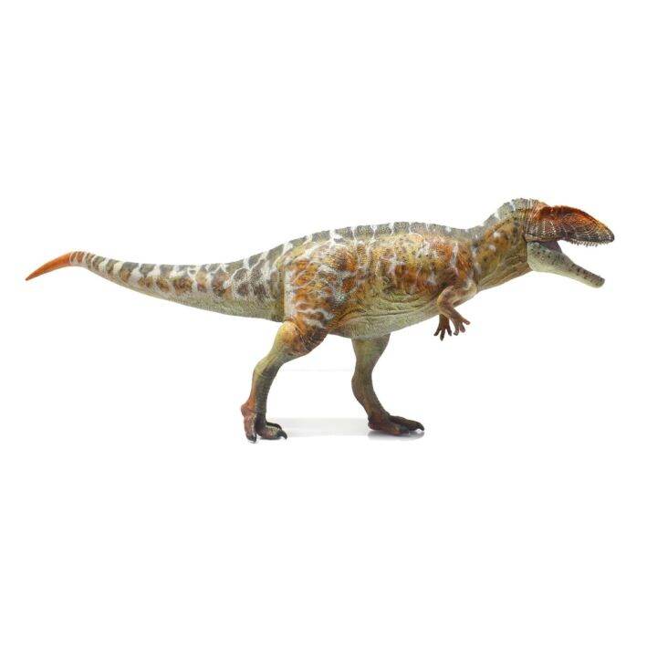 1:35 Scientific Carnotaurus Carcharodontosaurus Dinosaur GR Toys ...