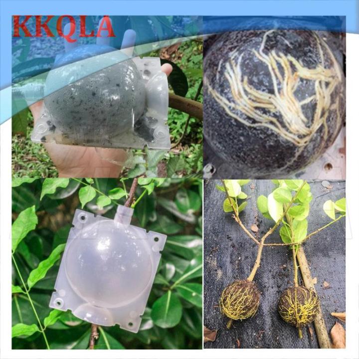 qkkqla-5pcs-8cm-fruit-plant-tree-rooting-ball-root-box-plastic-case-transparent-grafting-rooter-growing-high-pressure-breeding