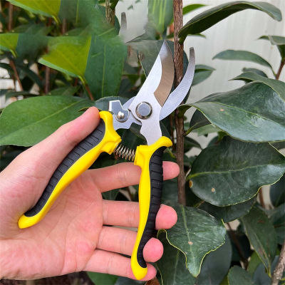 Pruner สวนกรรไกรมืออาชีพคมบายพาสกรรไกรตัดแต่งกิ่งต้นไม้ Trimmers Secateurs กรรไกรมือสำหรับสวนจะงอยปากกรรไกร