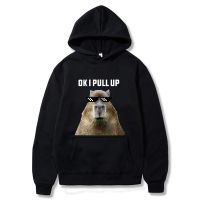 Funny Ok I Pull Up Capybara Print Hoodie Mens Fashion Casual Oversized Hooded Sweatshirts Gothic Pullovers Clothes for Teens Size XS-4XL