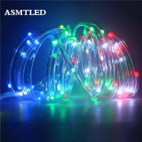 Fog Shaped Lamp Bead Point Control Smart LED String Light WS2812B Pixel Addressable RGB Dream Color LED Fairy String Decoration