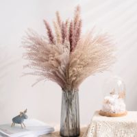 [AYIQ Flower Shop] 30Pcs แห้ง Reed ดอกไม้ช่อดอกไม้งานแต่งงานหน้าแรกตกแต่งตาราง Flores Presvadas ธรรมชาติ Pampas Grass Decor สำหรับห้อง