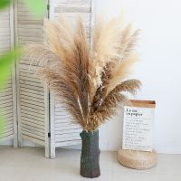 [COD] Internet celebrity white big pampas grass dry bouquet photography props landing living room decoration flower arrangement