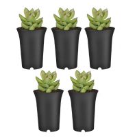 5pcs 9x12cm Succulent Plant Flower Nursery Pot Plastic Planter Holder Thicken Round Seed Storage Pot Container Home Garden Decor