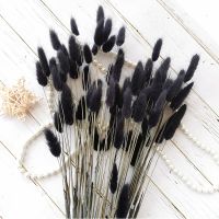 【cw】 Tail Dried Pampas Flowers Wedding Marriage Decoration Accessories Room ！