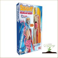 Woo Wow ! หนังสือภาษาอังกฤษ SQUISHY HUMAN BODY (SMARTLAB)