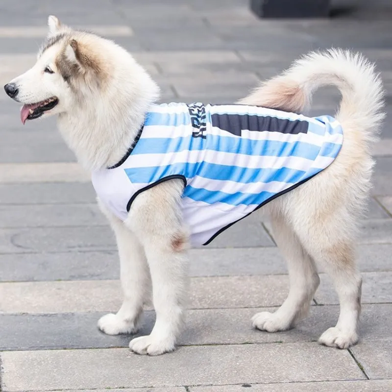 Dog athletic clearance wear