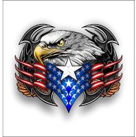 American Tribal eagle sticker decalCar sticker SELECT SIZE