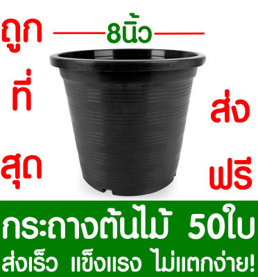 กระถางต้นไม้ กระถางพลาสติก ขนาด 8 นิ้ว 50ใบ กระถางกลม กระถางต้นไม้พลาสติก กระถางปลูกต้นไม้ กระถางดำ กระถางพลาสติกดำ Flower pot