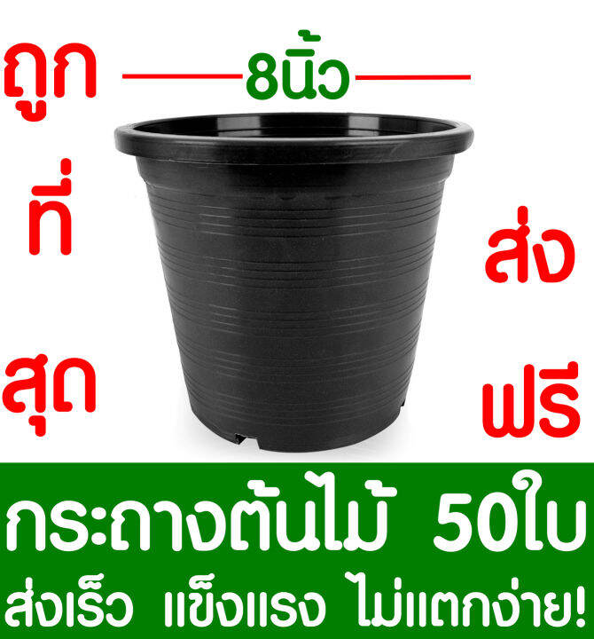 กระถางต้นไม้-กระถางพลาสติก-ขนาด-8-นิ้ว-50ใบ-กระถางกลม-กระถางต้นไม้พลาสติก-กระถางปลูกต้นไม้-กระถางดำ-กระถางพลาสติกดำ-flower-pot