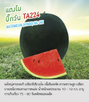 เมล็ดพันธุ์ แตงโม บิ๊กวัน - Watermelon BIg One ตราดอกแตง เมล็ดพันธุ์คุณภาพ "เพื่อนเกษตรกร"