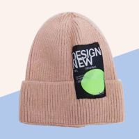 [COD] Hat womens autumn and winter new embroidery knitted hat woolen pullover mens street warm melon skin