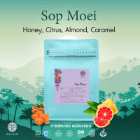 HILLKOFF : Sop Moei Arabica Specialty Roasted เมล็ดกาแฟคั่ว กาแฟ อาราบิก้าแท้ 100% อราบิก้า สเปเชียลตี้ สบเมย ขนาด 200 กรัม